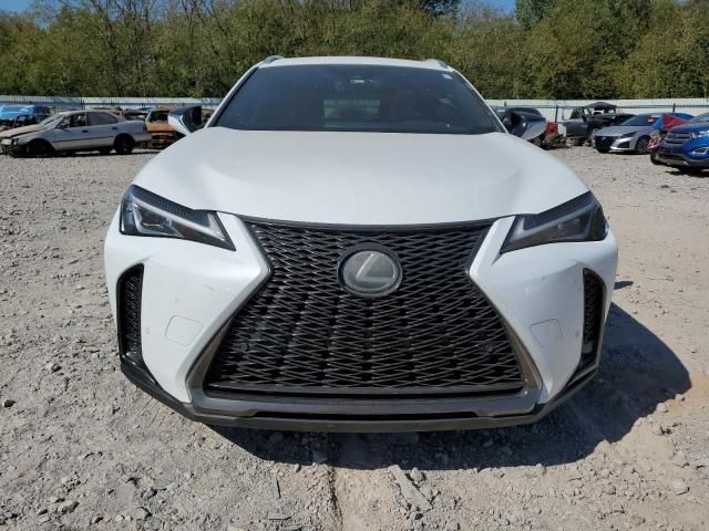 2019 Lexus UX 200