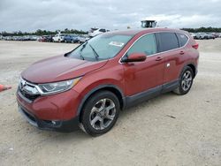 Honda salvage cars for sale: 2019 Honda CR-V EX