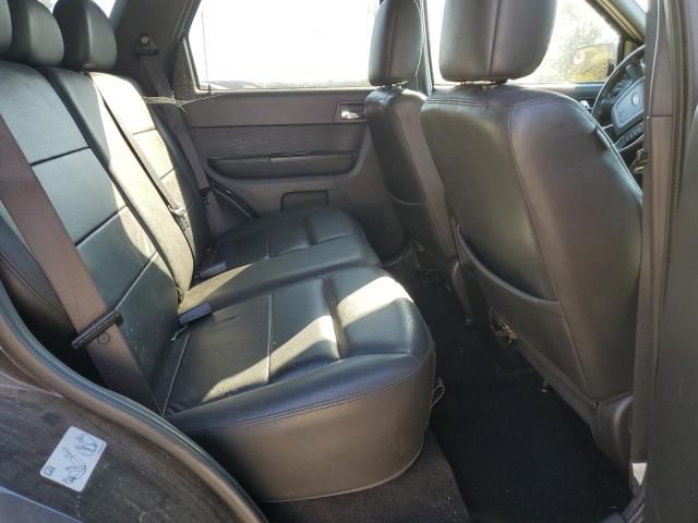 2010 Ford Escape Limited