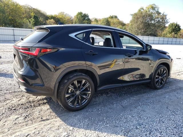 2024 Lexus NX 350 Premium