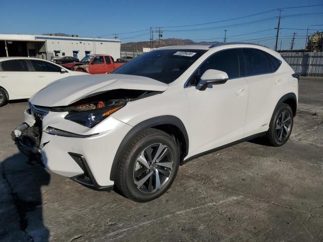 2019 Lexus NX 300H