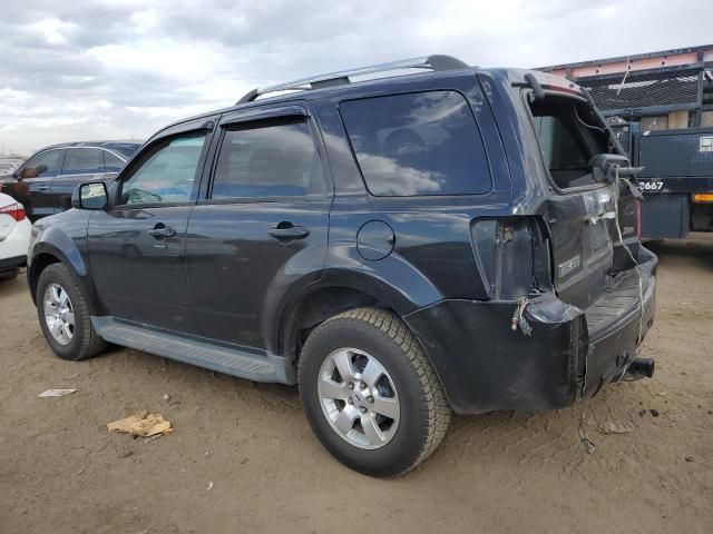 2010 Ford Escape Limited