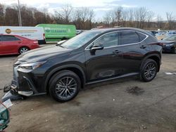 2024 Lexus NX 350H Base en venta en Marlboro, NY