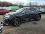 2024 Lexus NX 350H Base