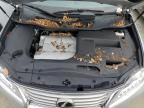 2014 Lexus RX 350 Base