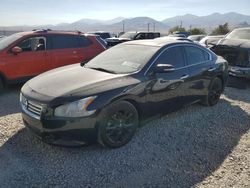 Nissan Maxima S Vehiculos salvage en venta: 2013 Nissan Maxima S