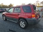 2007 Ford Escape XLT