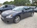 2011 Nissan Maxima S