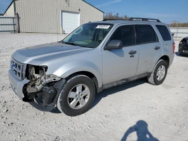 2009 Ford Escape XLT