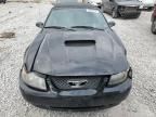 2004 Ford Mustang