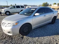 Toyota salvage cars for sale: 2010 Toyota Camry Base