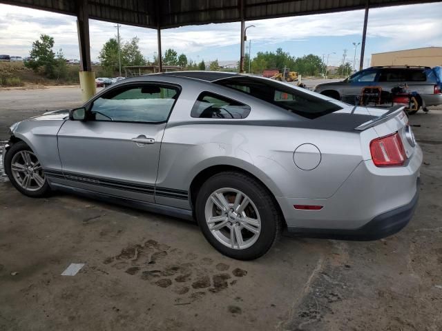 2010 Ford Mustang