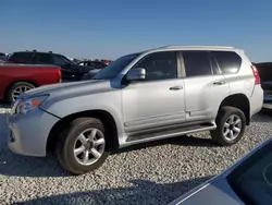 Salvage cars for sale from Copart Taylor, TX: 2013 Lexus GX 460