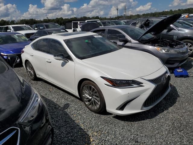 2019 Lexus ES 300H