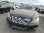 2012 Lexus LS 460