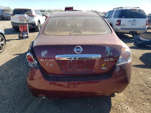 2010 Nissan Altima Base