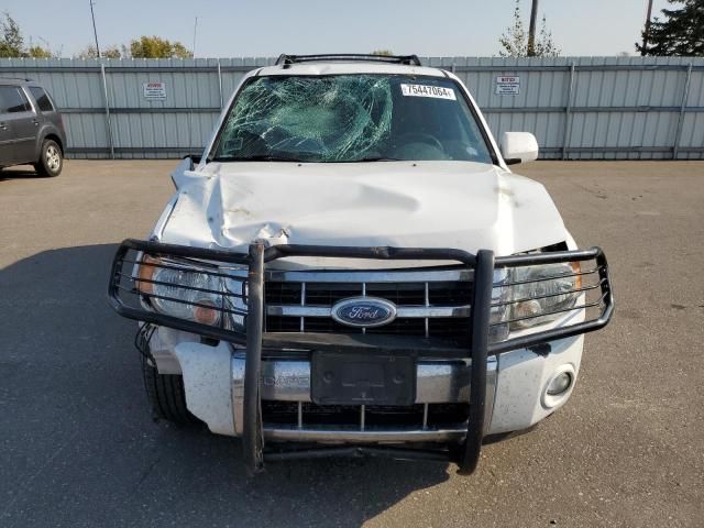 2008 Ford Escape Limited