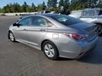 2013 Hyundai Sonata Hybrid