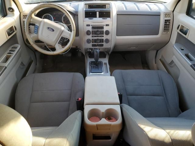 2009 Ford Escape XLT