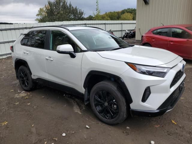 2024 Toyota Rav4 SE