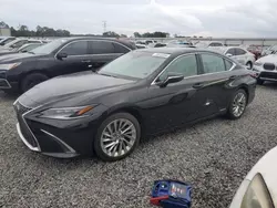 Lexus salvage cars for sale: 2022 Lexus ES 300H Base