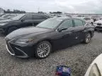 2022 Lexus ES 300H Base