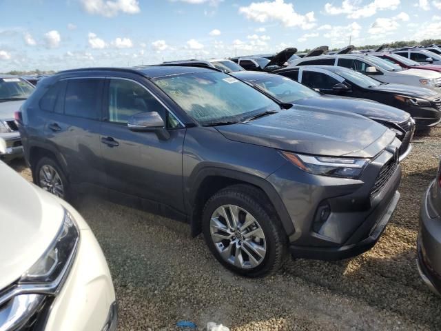 2024 Toyota Rav4 XLE Premium