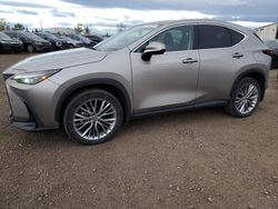 2022 Lexus NX 350H en venta en Rocky View County, AB