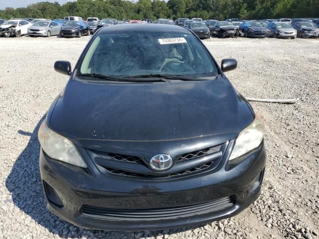 2011 Toyota Corolla Base