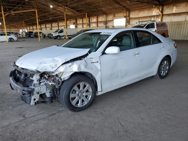 2009 Toyota Camry Hybrid