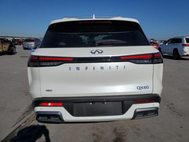 2024 Infiniti QX60 Sensory