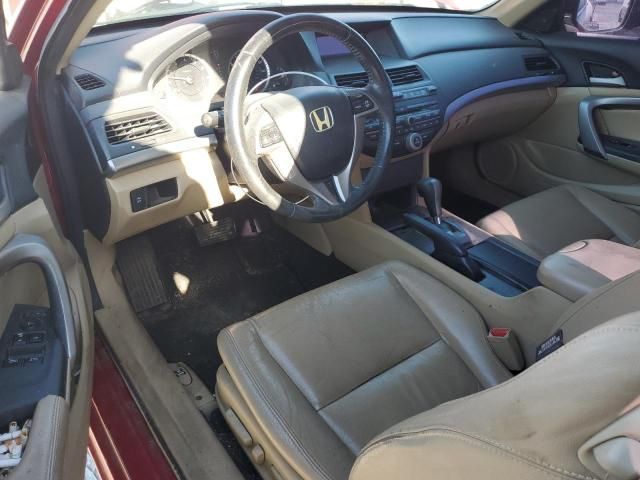 2010 Honda Accord EXL