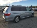 2006 Honda Odyssey EX