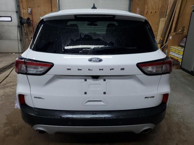 2022 Ford Escape SEL