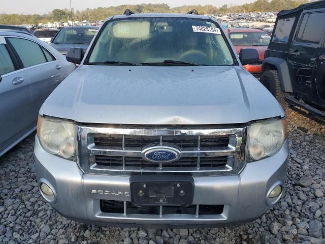 2011 Ford Escape XLT