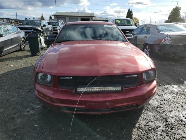 2005 Ford Mustang