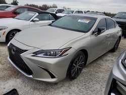 Salvage cars for sale at Arcadia, FL auction: 2024 Lexus ES 350 Base