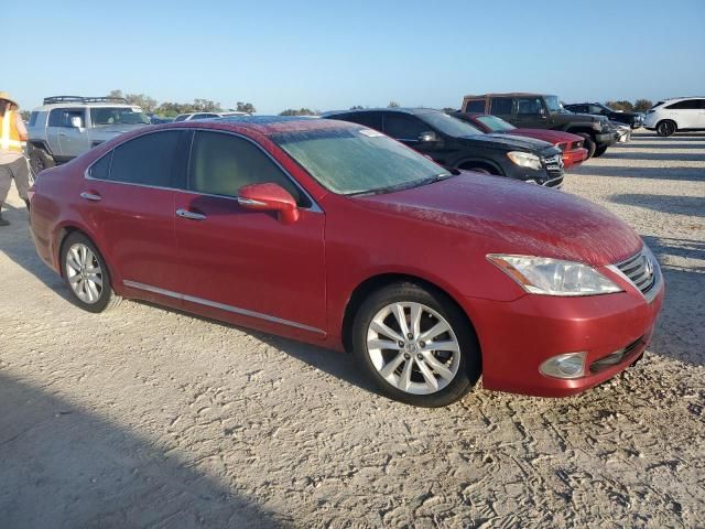 2010 Lexus ES 350