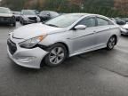 2011 Hyundai Sonata Hybrid