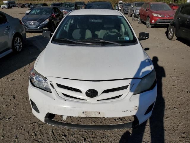 2011 Toyota Corolla Base