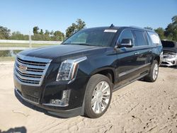 Flood-damaged cars for sale at auction: 2017 Cadillac Escalade ESV Platinum