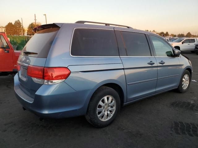 2010 Honda Odyssey EXL