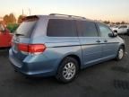 2010 Honda Odyssey EXL