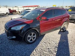 Ford Escape salvage cars for sale: 2016 Ford Escape SE