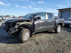 2024 Toyota Tacoma Double Cab en venta en Eugene, OR