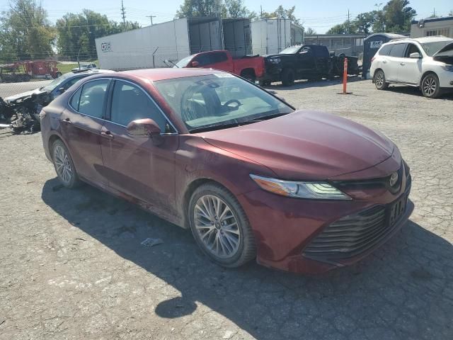 2019 Toyota Camry L