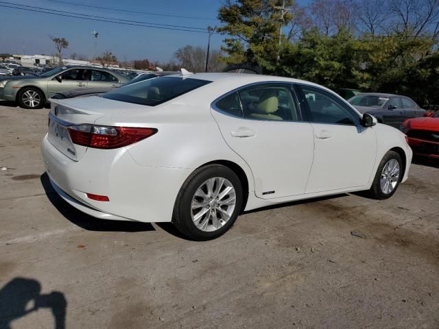 2013 Lexus ES 300H