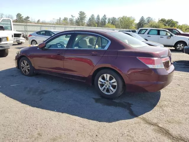 2011 Honda Accord LXP