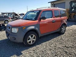 Salvage cars for sale at Eugene, OR auction: 2004 Honda Element EX