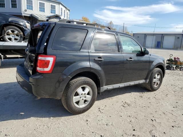 2010 Ford Escape XLT